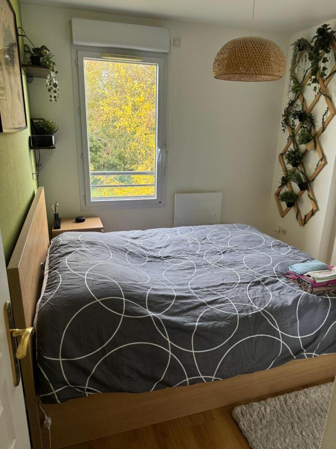 Appartement Centre Avec Balcon Parking Prive Ορλεάνη Εξωτερικό φωτογραφία